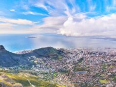 Elevate Your Spinal Surgery Skills This Fall: NSpine Cadaveric Training, Nov 1-2