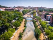 Skill, Science, Success: Madrid Wrist Course 2025