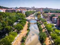 Skill, Science, Success: Madrid Wrist Course 2025