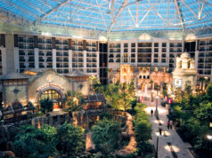 AOAO 2025 Annual Spring Meeting: Advancing Orthopaedic Excellence