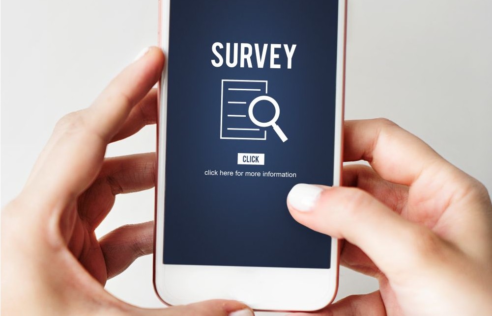 survey results analysis discovery investigation