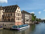 Elevate Surgical Mastery: NSpine Combined Cadaveric & Live Tissue Training Strasbourg France