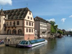 Elevate Surgical Mastery: NSpine Combined Cadaveric & Live Tissue Training Strasbourg France